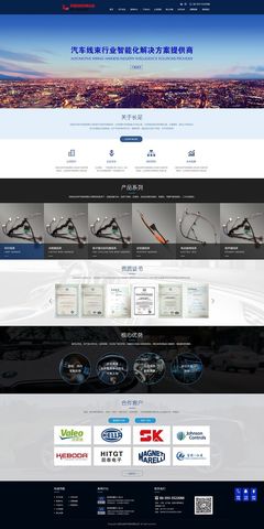 專業(yè)網(wǎng)站設(shè)計(jì)與代理代辦服務(wù) 打造數(shù)字化時(shí)代的企業(yè)門戶