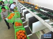 深圳二手食品生產(chǎn)線進(jìn)口代理全流程解析 西班牙搬遷、備案中檢、報(bào)關(guān)一站式服務(wù)